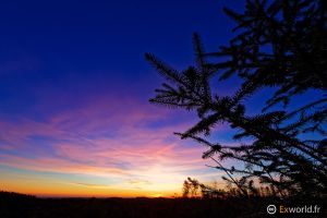 Blue hour