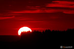 Red Sun II